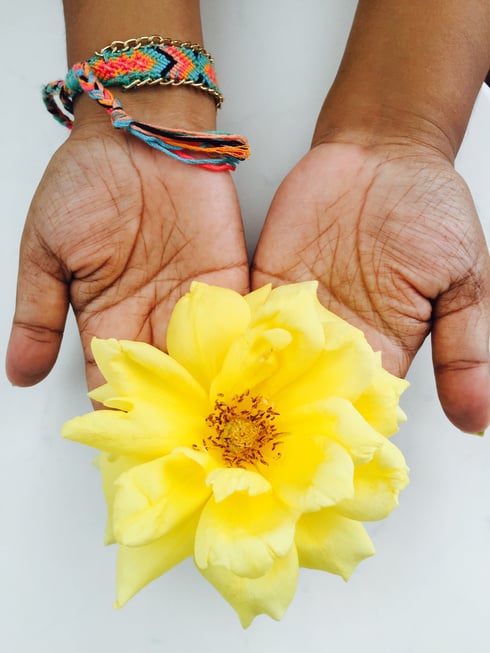 Hands Offering a Yellow Rose